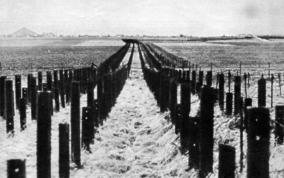 ligne anti tank